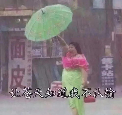 邵东天气预报（邵东天气预报一周天气）