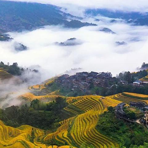 桂林未来15天天气预报(桂林未来15天天气预报一览表) 桂林未来15天天气预报(桂林未来15天天气预报一览表)