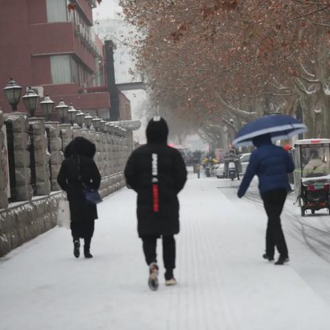 天气预报郑州（天气预报郑州天气预报）
