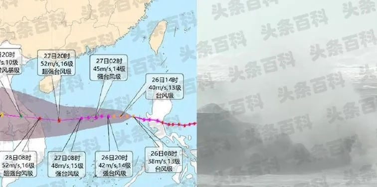 包含台风路径实时的词条