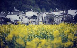 江西天气预报15天查询最新消息（江西天气首页）