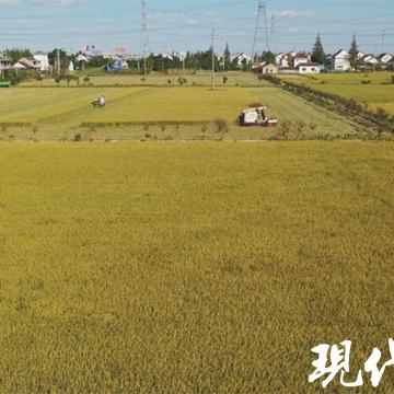 今日天气24小时查询(海安今日天气24小时查询) 今日天气24小时查询(海安今日天气24小时查询)
