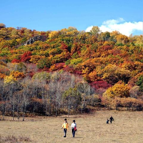 西双版纳天气15天查询(西双版纳天气15天查询一周) 西双版纳天气15天查询(西双版纳天气15天查询一周)
