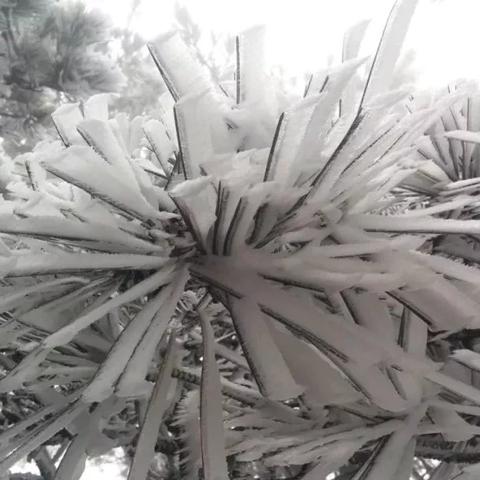 庐山天气(庐山天气预报) 庐山天气(庐山天气预报)