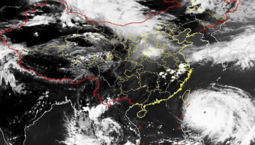 上海天气预报15天（上海天气预报15天准确天气查询表）