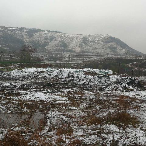 河南将迎大风大雪天气（河南大风降温温馨提示）
