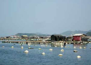 连江天气预报（连江天气预报当地15天查询）
