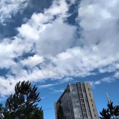 合肥天气预报一周查询（合肥天气预报一周七天）