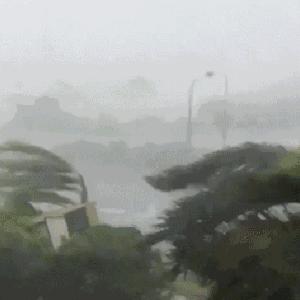 今天最新台风实时位置（今日台风天气）